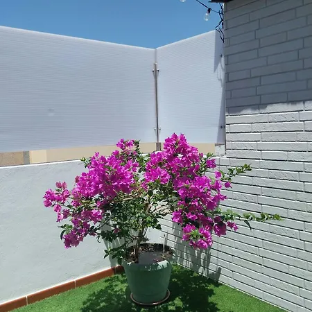 Apartment Roque's House